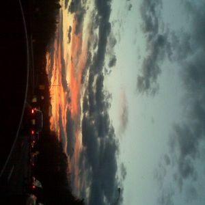 Meet your Posher, Will